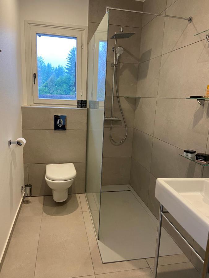 Chalet Pleine Vue & Spa Chamonix Exterior photo